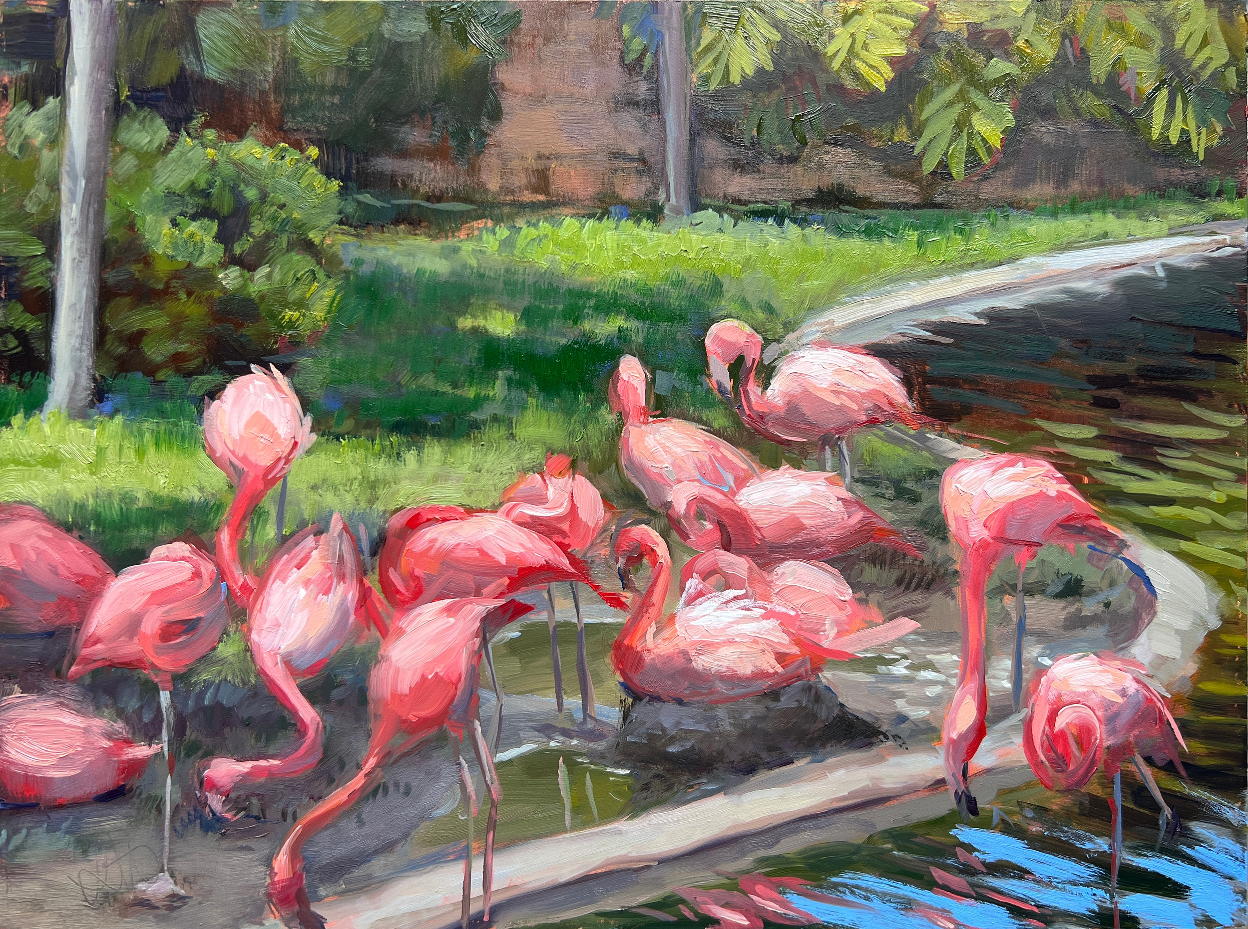 Flamingo Mingle, 2022
9 x 12 in. Oil on Panel
Painted En Plein Air
Zoo Miami - Miami, FL